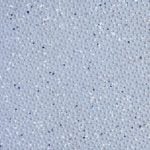 Floor in Jackleg Toilet